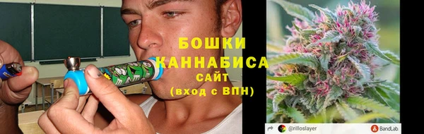 PSILOCYBIN Алексеевка