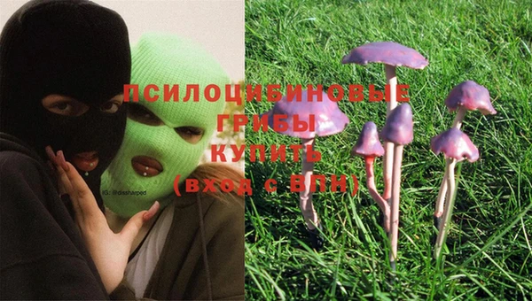 PSILOCYBIN Алексеевка