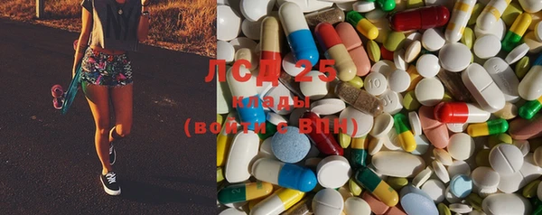 PSILOCYBIN Алексеевка