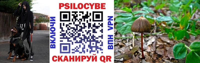 Галлюциногенные грибы Magic Shrooms Любань